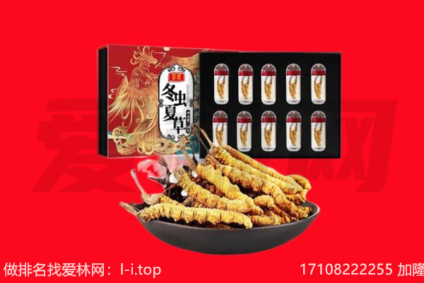 绥芬河市回收虫草.jpg